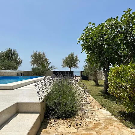 House Laura * فير
